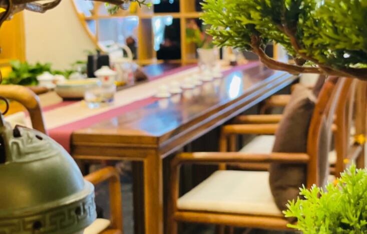 溢茗坊·雨林古树茶