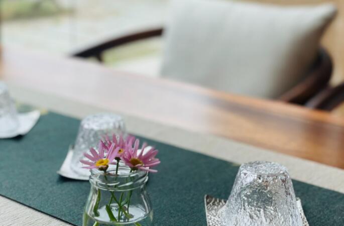 溢茗坊·雨林古树茶