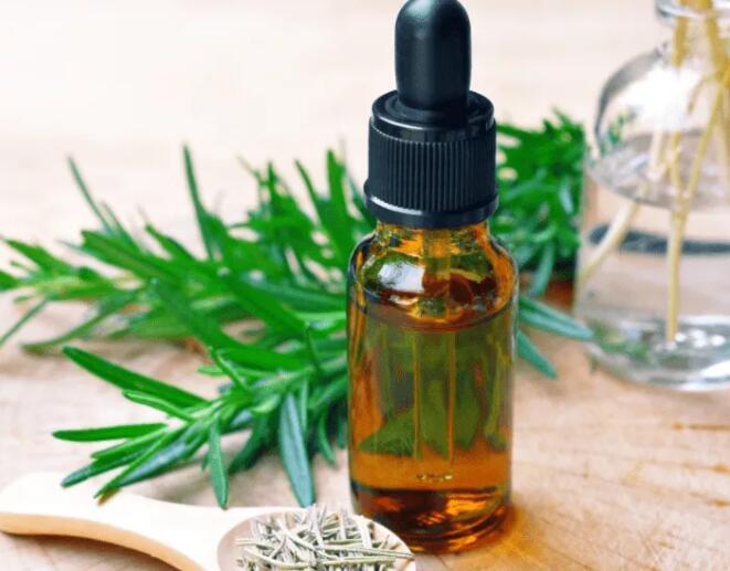 迷迭香精油的功效